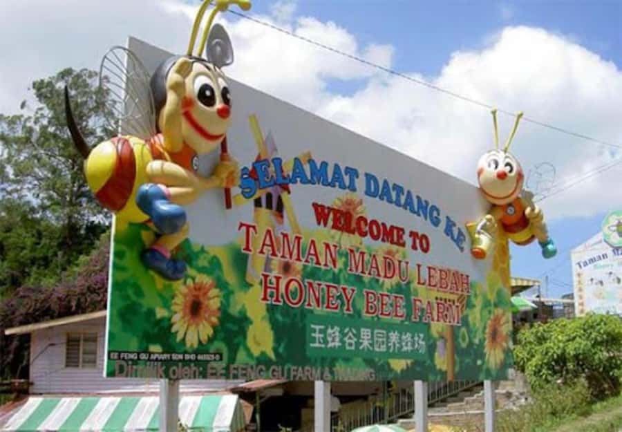 From Kuala Lumpur: Cameron Highlands Private or Join In Tour - What the $98 price really covers