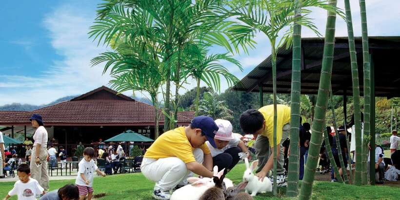 From Kuala Lumpur: Colmar Tropicale and Batu Caves Day Trip - A quiet pause at the Japanese Village