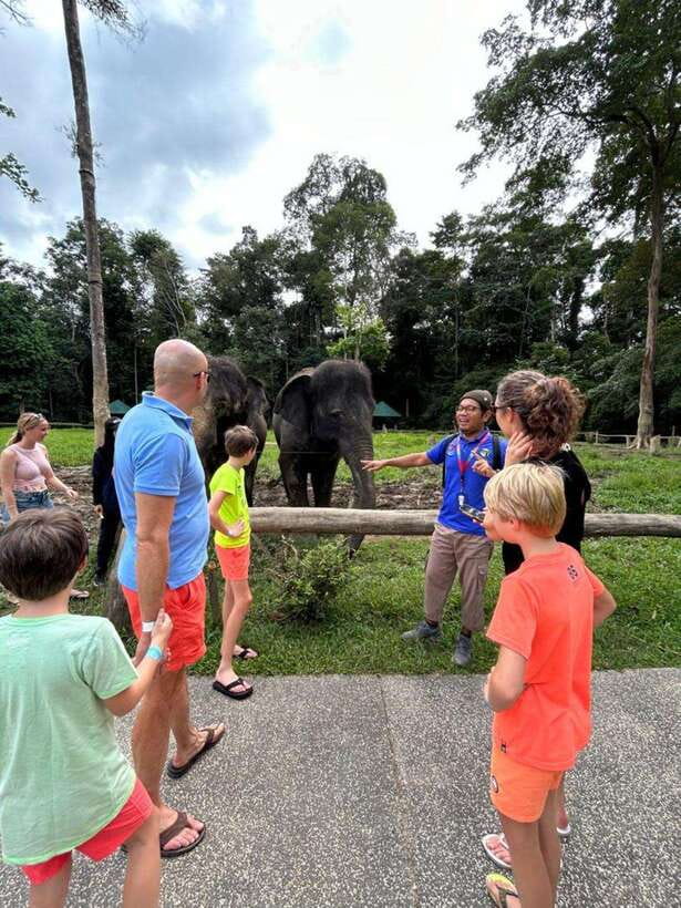 From Kuala Lumpur: Elephant Sanctuary Guided Tour - Key points to know before you book