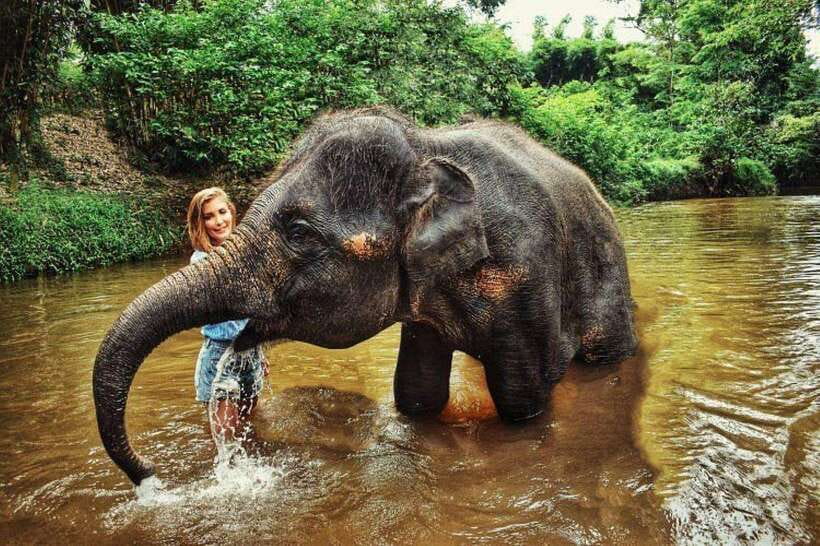 From Kuala Lumpur: Elephant Sanctuary Guided Tour - Why Kuala Gandah is worth the long ride