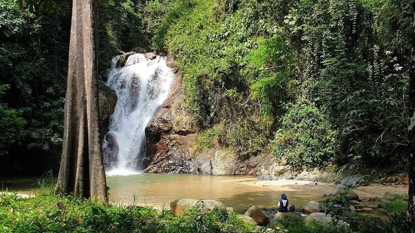 From Kuala Lumpur: Elephant Sanctuary Guided Tour - Who should book this day trip