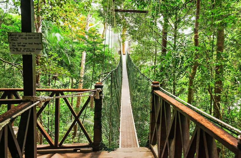 From Kuala Lumpur: Full-Day Taman Negara National Park - Key points to know before booking