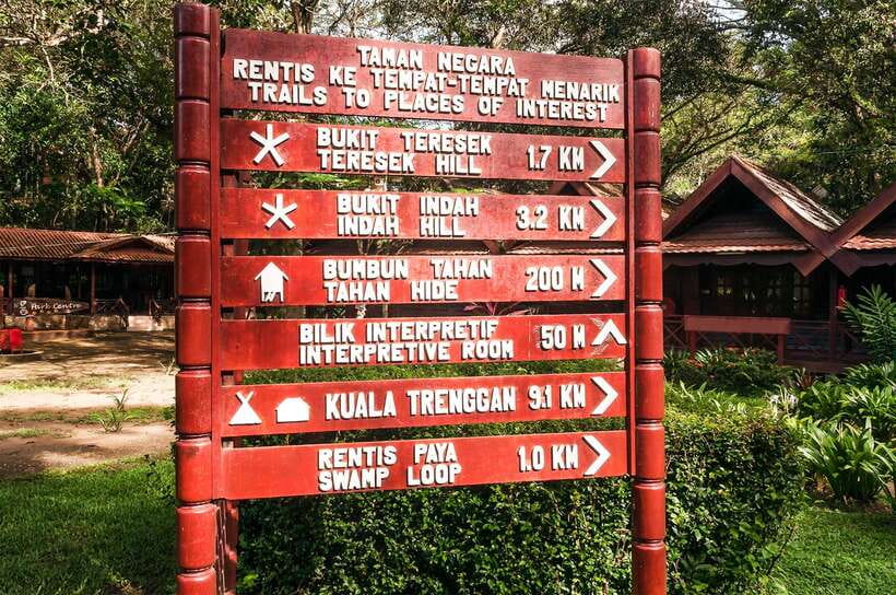 From Kuala Lumpur: Full-Day Taman Negara National Park - The jungle walk: expect steps, heat, and real effort