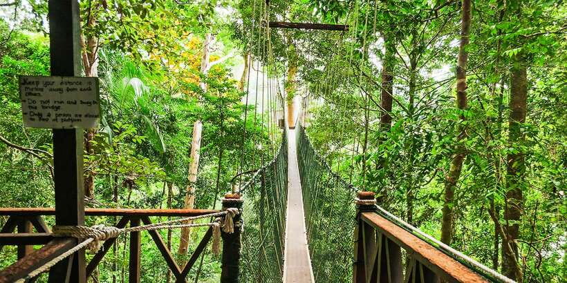 From Kuala Lumpur: Full-Day Taman Negara National Park - Lunch, timing, and the return to Kuala Lumpur