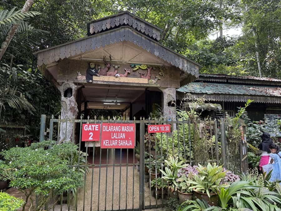 From Kuala Lumpur: Kuala Gandah Elephant Sanctuary Day Trip - Feeding and bathing: what you may actually do