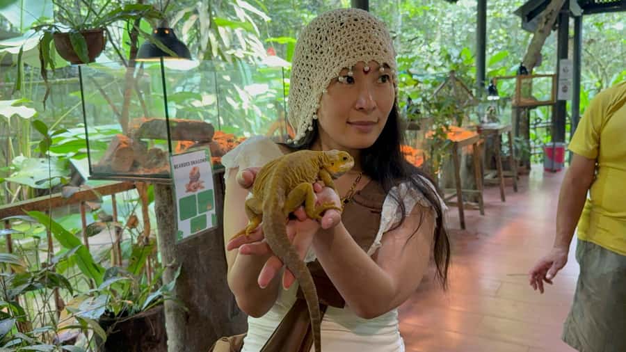 From Kuala Lumpur: Kuala Gandah Elephant Sanctuary Day Trip - Who will enjoy this trip most