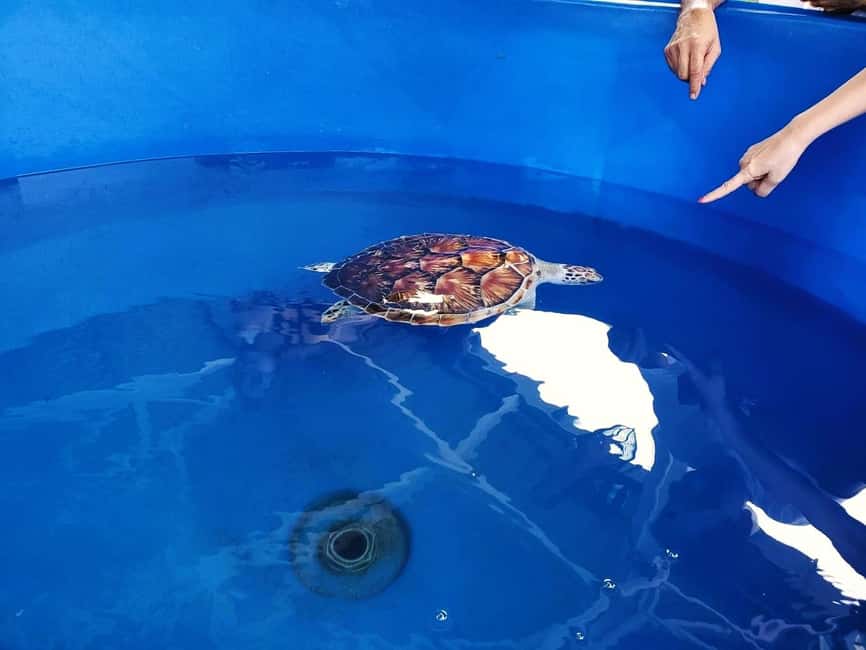 From Kuala Lumpur: Port Dickson Tour with Dragon Cruise - Why this makes a good day outside Kuala Lumpur