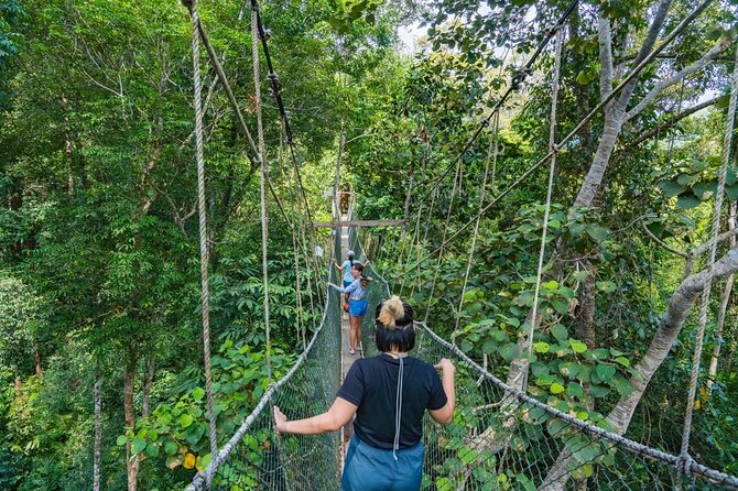 From Kuala Lumpur Taman Negara Day Trip With Lunch - Key points to know before you book