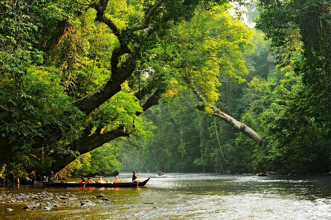 From Kuala Lumpur Taman Negara Day Trip With Lunch - Why Taman Negara is worth the long ride