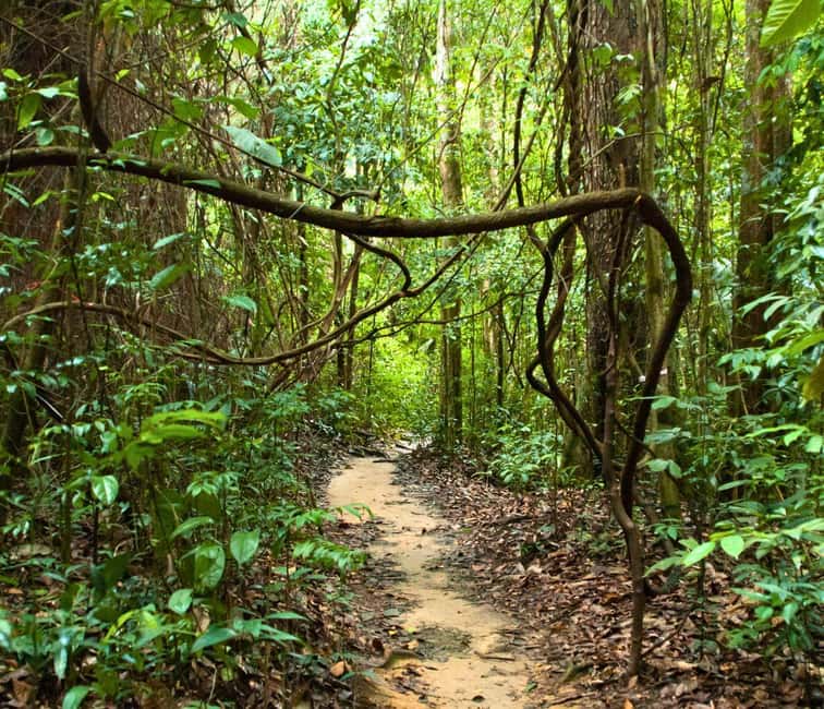 From Kuala Lumpur: Taman Negara National Park Private Tour - Key points to know before booking