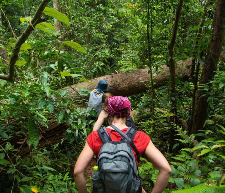 From Kuala Lumpur: Taman Negara National Park Private Tour - Why Taman Negara works as a long day trip