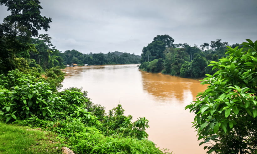 From Kuala Lumpur: Taman Negara National Park Private Tour - Walking beneath the forest canopy