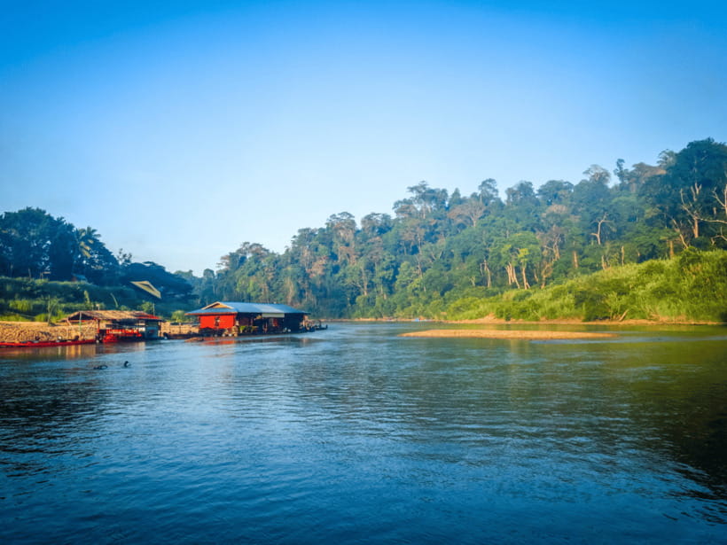 From Kuala Lumpur: Taman Negara National Park Private Tour - The Canopy Walkway and a changeable attraction