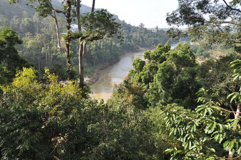 From Kuala Lumpur: Taman Negara National Park Trek Day Tour - Key points to know before booking