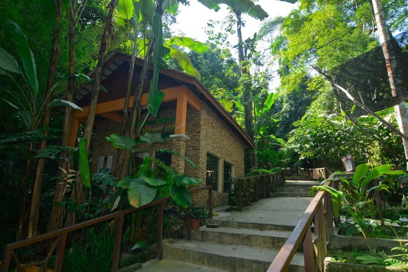 From Kuala Lumpur: Taman Negara Private Tour - Key points to know before booking