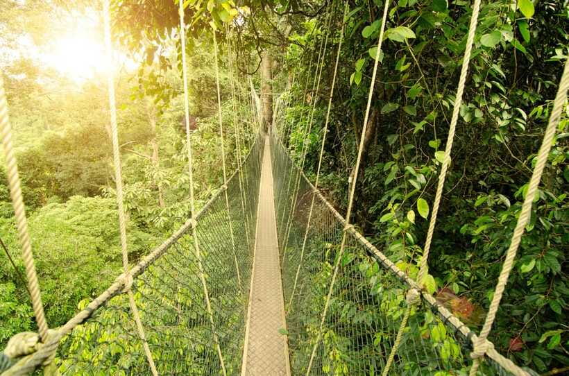 From Kuala Lumpur: Taman Negara Private Tour - Who will enjoy this tour most