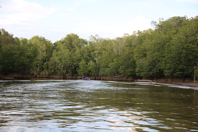 Full Day Bongawan River Cruise with Proboscis Monkey Sightseeing - Sunset, beach photos, and the Sky Mirror