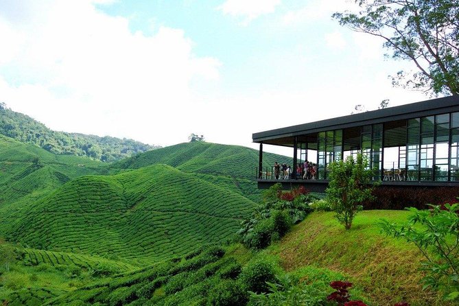 Full-day Cameron Highlands Day Trip from Kuala Lumpur - Cameron Valley Tea is the strongest stop