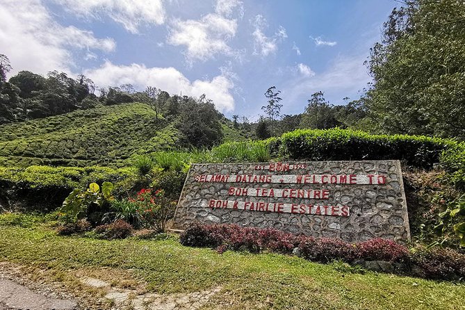 Full-day Cameron Highlands Day Trip from Kuala Lumpur - Big Red Strawberry Farm keeps the day family-friendly