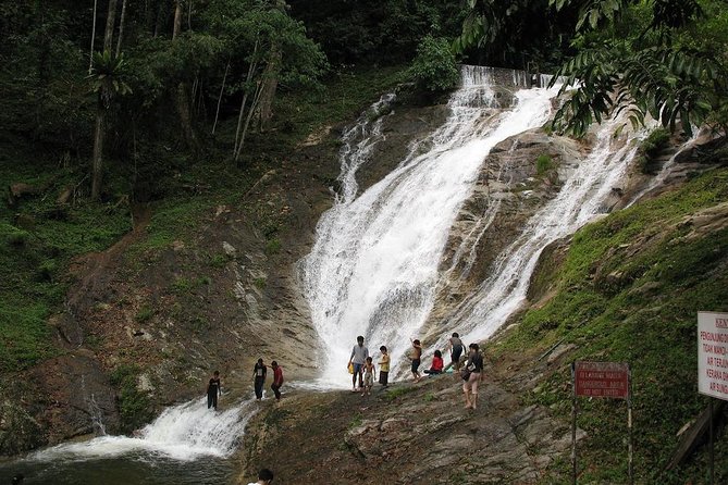 Full-day Cameron Highlands Day Trip from Kuala Lumpur - What the $151.95 price really covers