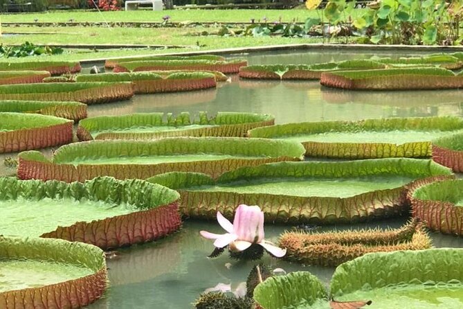 Full Day Flexi Private Tour in Penang Island with Pickup - Thai Buddhism, clan heritage, and Chew Jetty