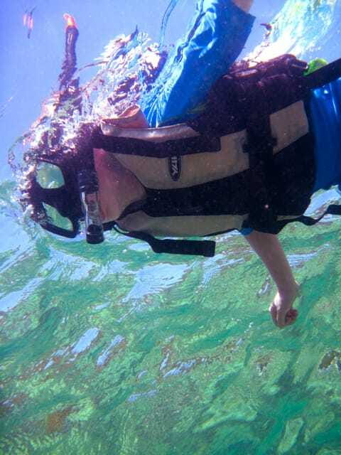 Full-Day Guided Snorkeling Tour from Kota Kinabalu - Sailing from Kota Kinabalu to the marine park