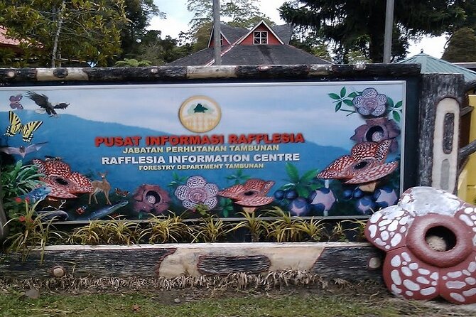Full Day JomTour! Memorable Experience in Kota Kinabalu, Sabah - Kinabalu Park’s cooler mountain air