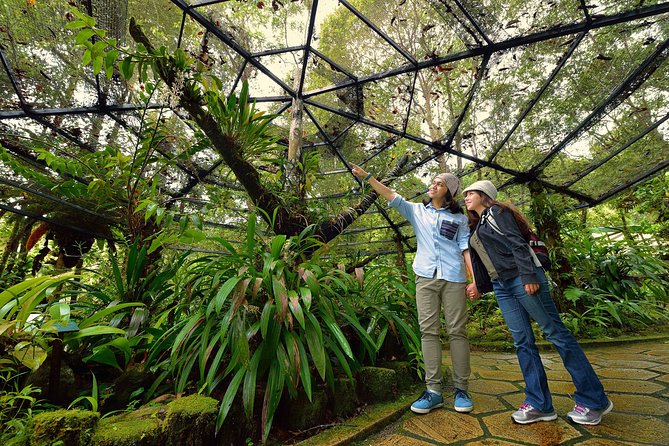 Full-Day Kinabalu Park and Poring Hot Spring Day Trip - Kinabalu Park and the plants of Mount Kinabalu