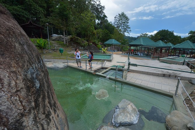Full-Day Kinabalu Park and Poring Hot Spring Day Trip - The 41-metre Canopy Walkway