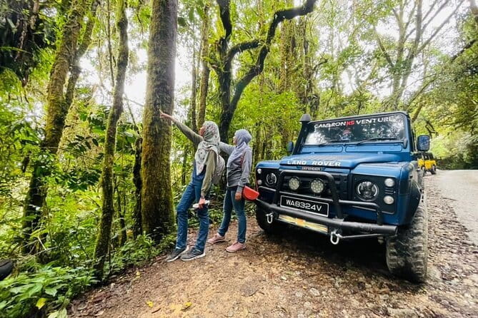 Full Day Mossy Forest Experience - Key points to know before you book
