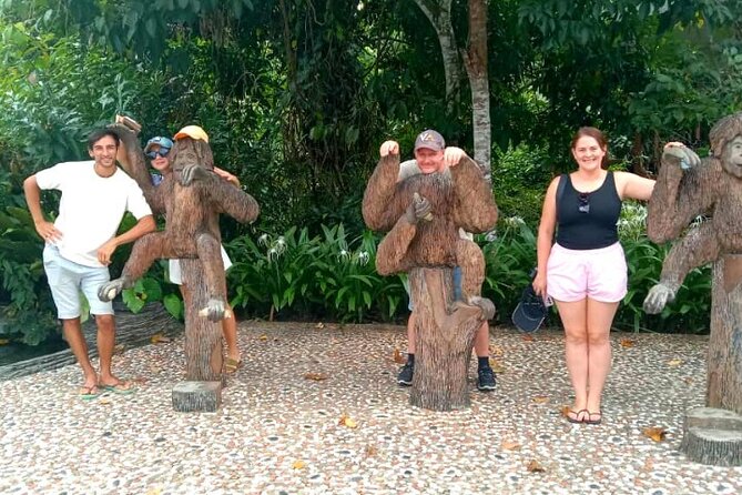 Full Day Orang Utan Sepilok, Proboscis Monkey, Sunbear, RDC - Key points at a glance