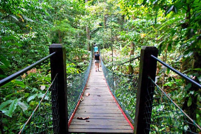 Full Day Orang Utan Sepilok, Proboscis Monkey, Sunbear, RDC - Why Sepilok should be your main reason for going