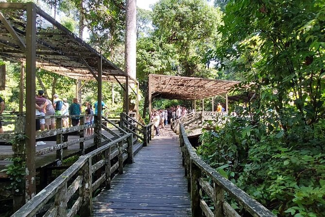 Full-Day Sepilok Orangutan and Proboscis Monkey from Sandakan or Kota Kinabalu - Why the guide matters on this route