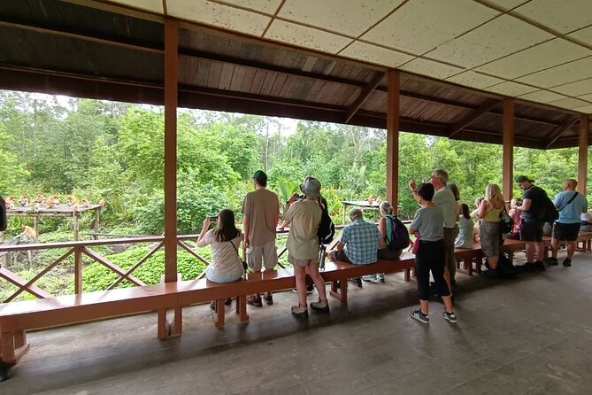 Full-Day Sepilok Orangutan and Proboscis Monkey from Sandakan or Kota Kinabalu - What the $188 price really covers