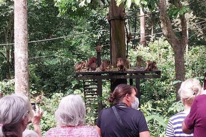 Full-Day Sepilok Orangutan and Sandakan City Trail from Kota Kinabalu - Why Sepilok makes this more than a zoo visit