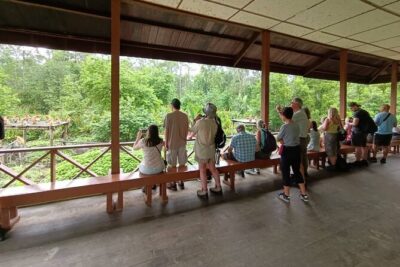 Full-Day Sepilok Orangutan and Sandakan City Trail from Kota Kinabalu