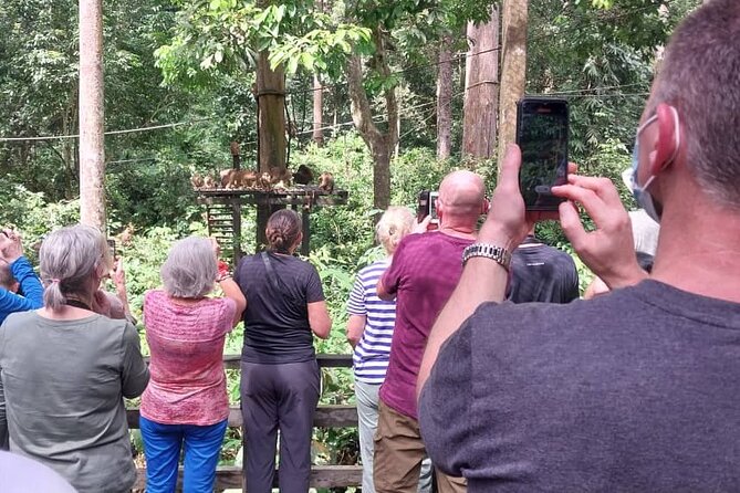 Full-Day Sepilok Orangutan and Sandakan City Trail from Kota Kinabalu - Who should book this full-day experience?