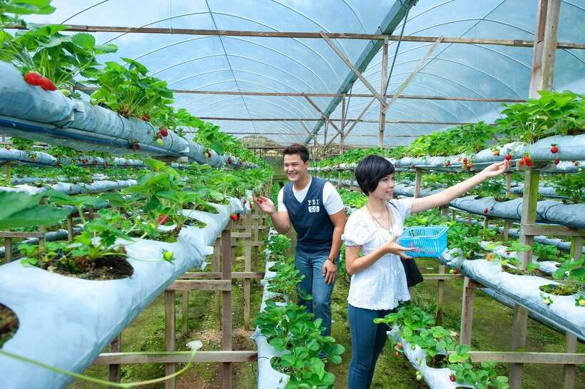 Genting Highland: Private Day Trip from Kuala Lumpur - Theme parks require a separate budget