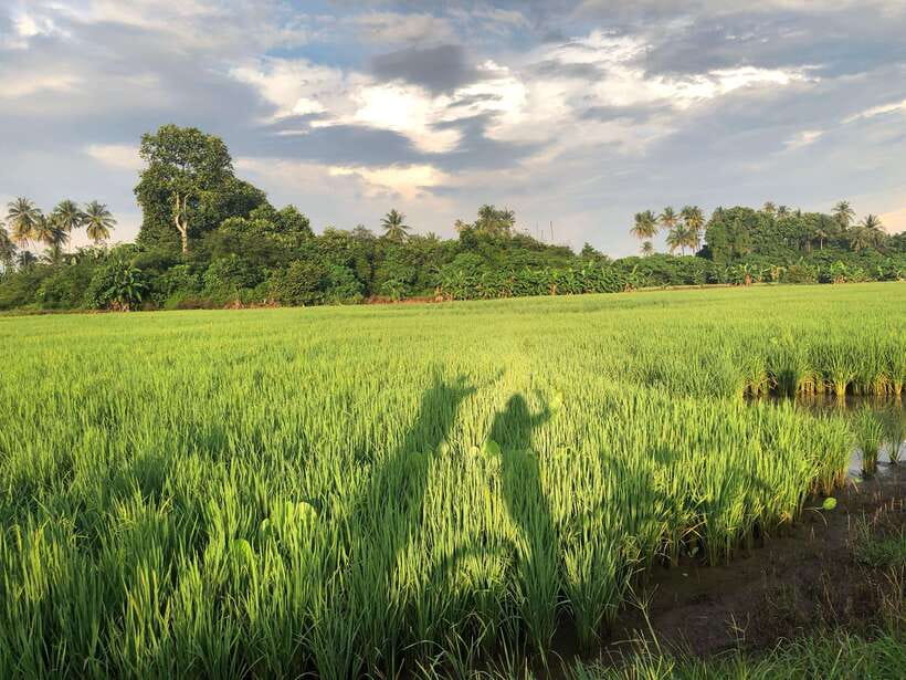 George Town: Balik Pulau Countryside Morning Cycling Tour - Why Balik Pulau is worth a morning