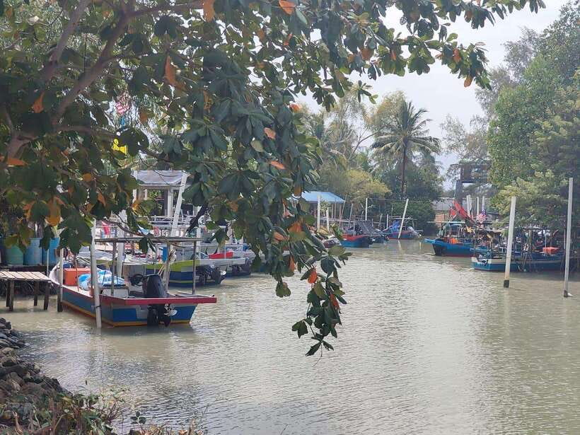 George Town: Balik Pulau Countryside Morning Cycling Tour - Morning tea, banana cake, and local flavors