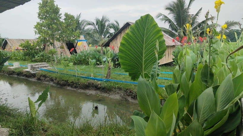 George Town: Balik Pulau Countryside Morning Cycling Tour - What the $47 price includes