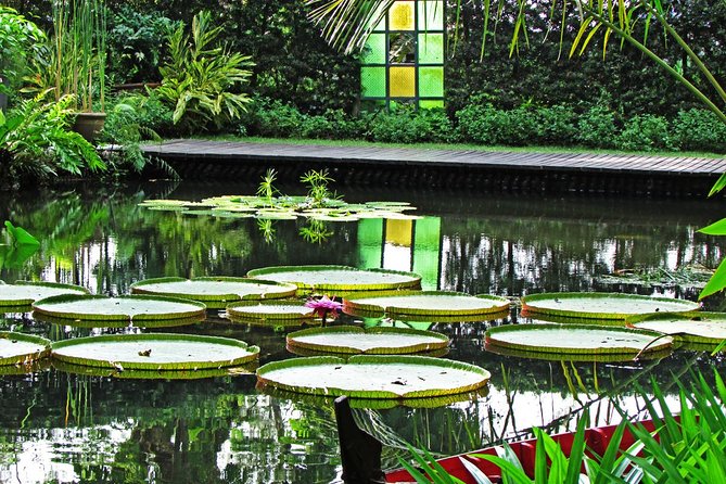 George Town Highlights & Upside Down Museum tours (4 Hours) - How the four-hour schedule works