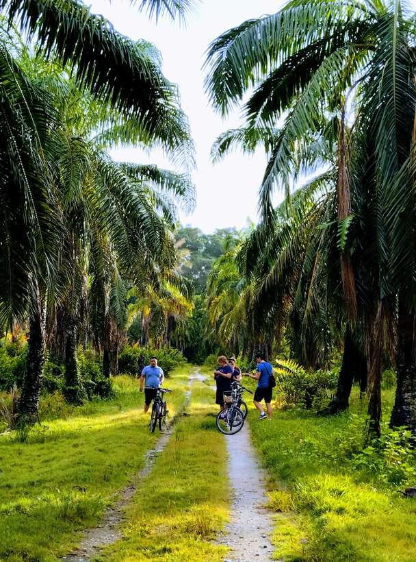 George Town, Penang: Malay Countryside Cycling - Why Balik Pulau makes a better morning than another city stop