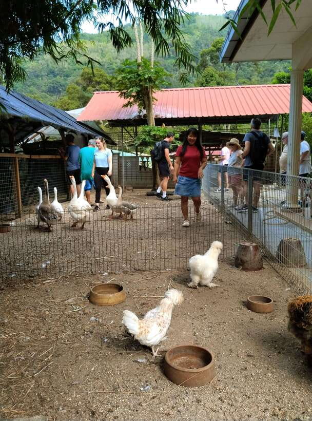 George Town, Penang: Malay Countryside Cycling - Getting on the bike in the traditional village