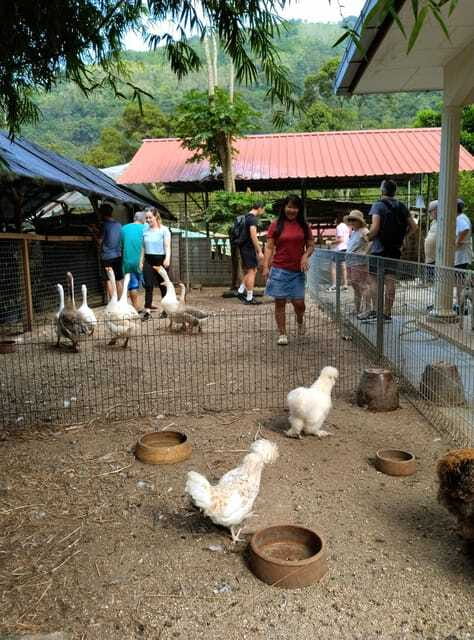 George Town, Penang: Malay Countryside Cycling - Riding past plantations, canals, and fruit orchards