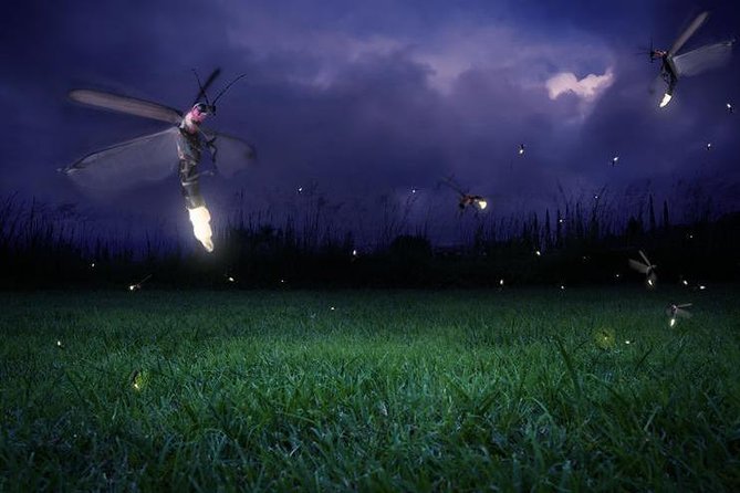 Glowing Kuala Selangor Firefly Tour - Sri Shakti Temple: a striking first stop