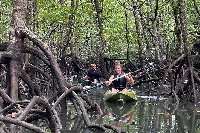 Half-Day Geopark Mangrove Kayaking Adventure - Key points at a glance