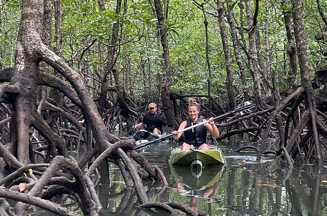 Half-Day Geopark Mangrove Kayaking Adventure - Narrow mangrove channels and eagle country