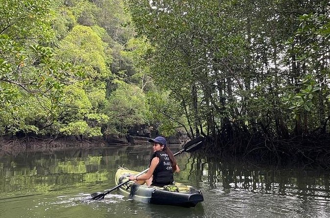 Half-Day Geopark Mangrove Kayaking Adventure - The second channel adds a little work