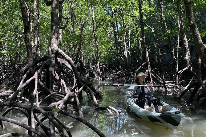Half-Day Geopark Mangrove Kayaking Adventure - Lunch back at the fish farm